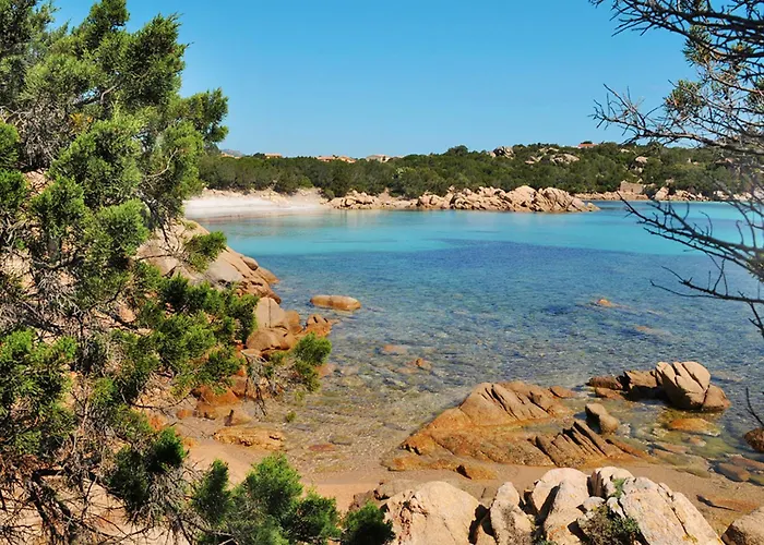 Bouganville By Interhome Апартаменты Порто-Черво